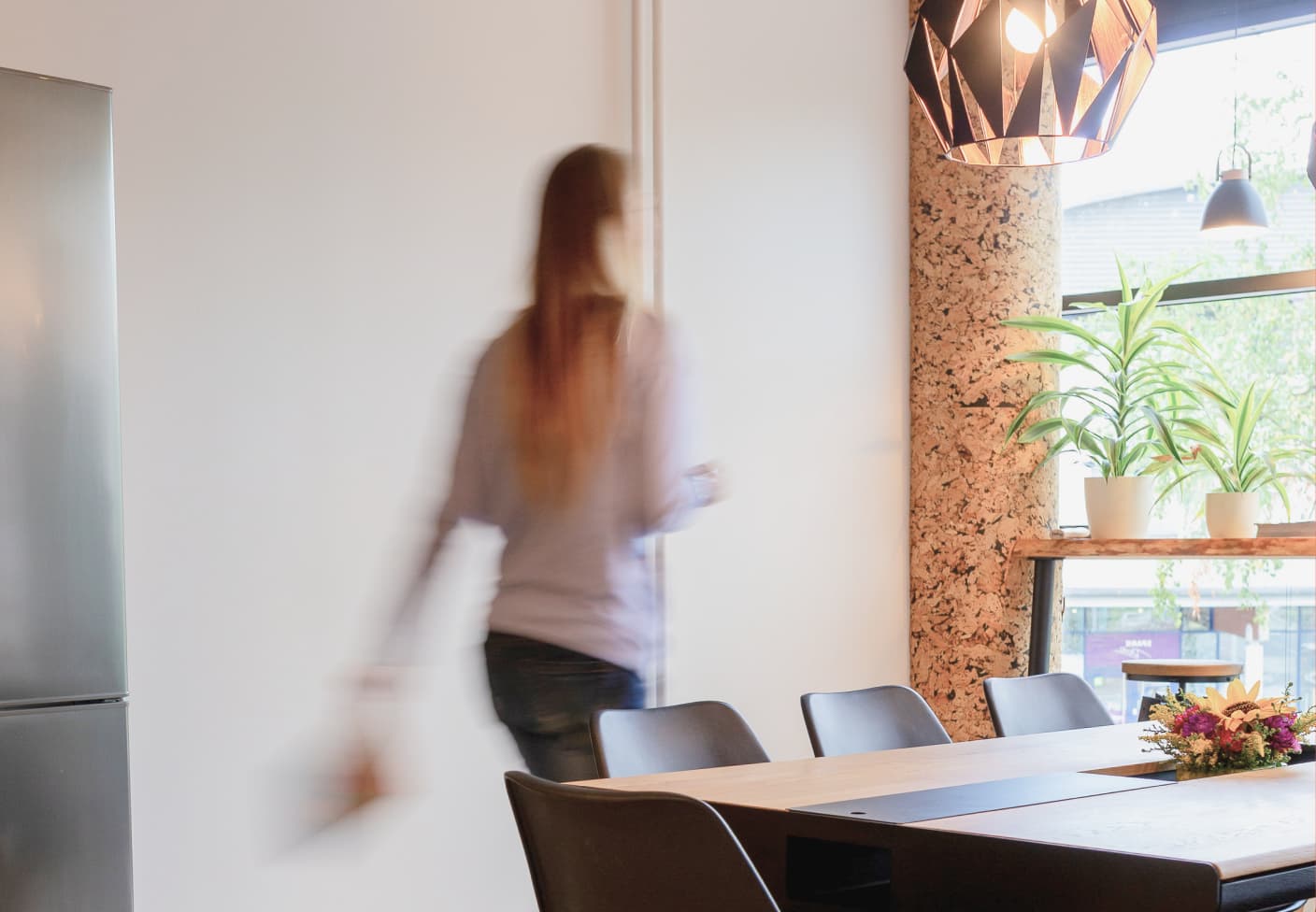 Image of Xolo office 2