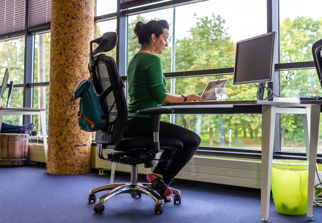 Image of Xolo office 2