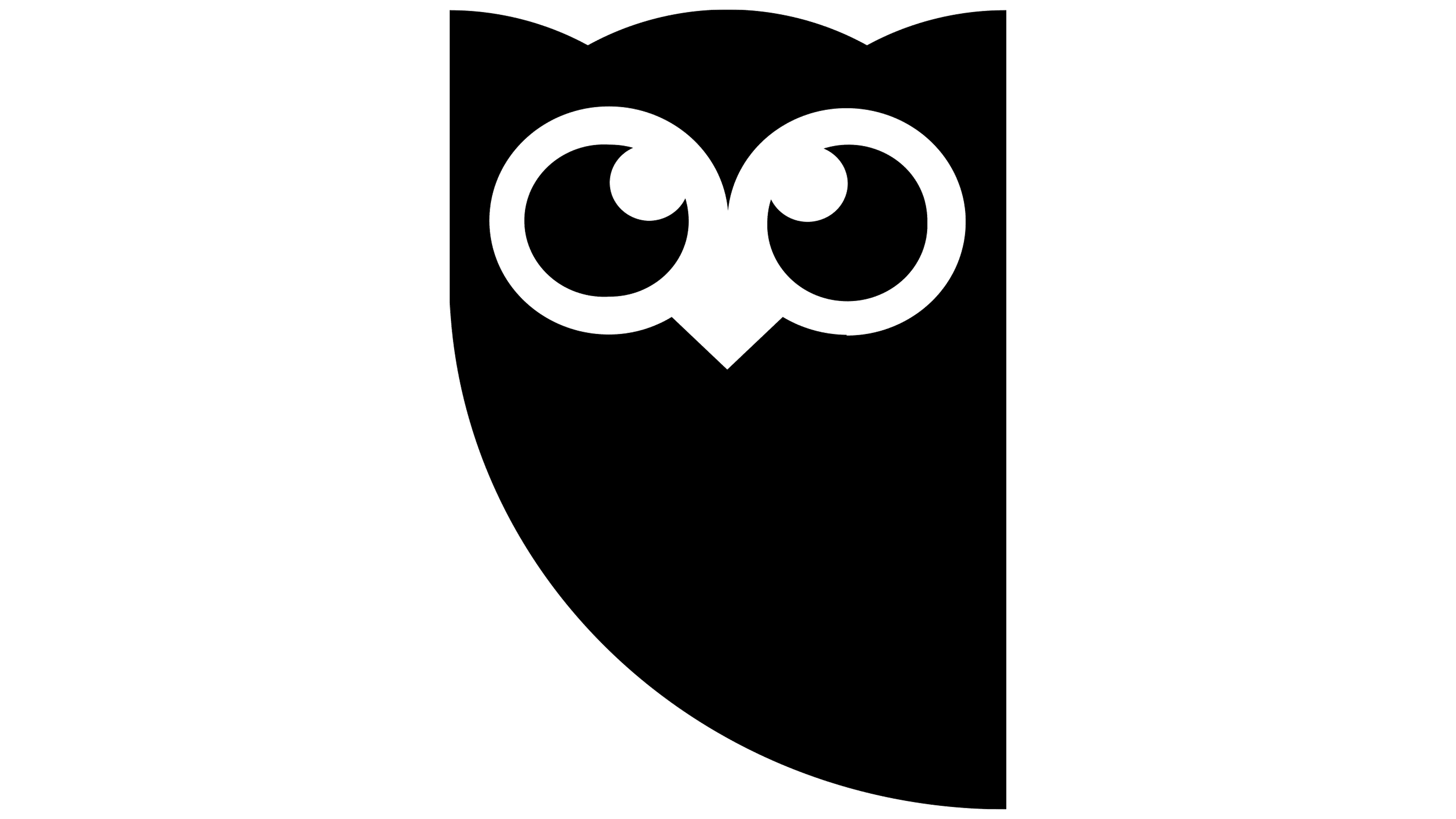 Logo of Hootsuite